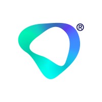 BSO logo - Similar company to Dataone Systems