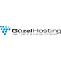 Güzel Hosting Internet Hizmetleri logo - Similar company to Burtinet Web Services
