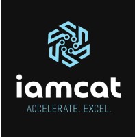 IAM Cybernetics logo - Similar company to It District