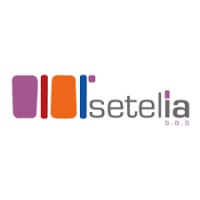 Setelia MEA logo - Similar company to Setelia