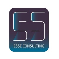 Esse Consulting logo - Similar company to B1 Solutions Doo