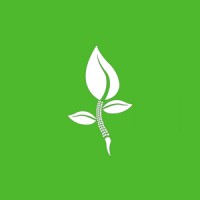 Healthy Movement - physical therapy center (Centrum Rehabilitacji Zdrowy Ruch) logo - Similar company to Fisio - Advanced Wellness & Physiotherapy