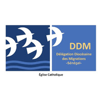 DDM Senegal logo - Similar company to Servei Solidari Foundation