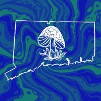 Connecticut for Accessible Psychedelic Medicine logo - Similar company to Nc Psychedelic Policy Coalition