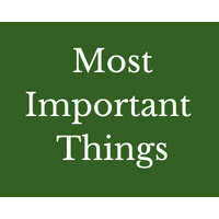 Most Important Things logo - Similar company to Higher Health