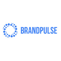 Brandpulse Analytics logo - Similar company to Mitcoral
