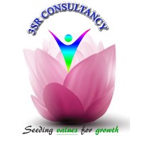 3SR CONSULTANCY LLP logo - Similar company to Cyberadvisor
