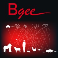 Bgee, A Gene Expression Database