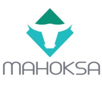 Mahoksa logo - Similar company to Adeptise