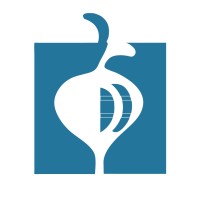 Rutabaga Capital Management logo - Similar company to Tenth Street Capital
