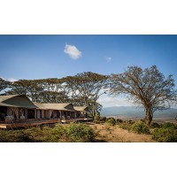SAFARI WORLD IMAGE logo - Similar company to Ipsosenso