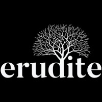 Erudite Group logo - Similar company to Born Digital Nz