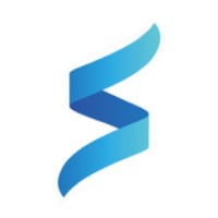 BlueSurge Technologies logo - Similar company to Big Instance Technologies
