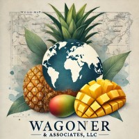 WAGONER & ASSOCIATES, LLC logo - Similar company to Boost Boost .Id