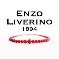 Enzo Liverino Srl logo - Similar company to Museo D'Arte Cinese Ed Etnografico