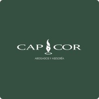 Cap i cor logo - Similar company to E-Consulting Corp.