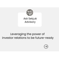 Aslı Selçuk Advisory logo - Similar company to Einfobase