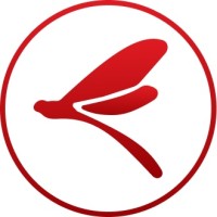 Dragonfly logo - Similar company to Nfs Group