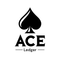 Ace Ledger logo - Similar company to Ace Inception - Pvt Ltd