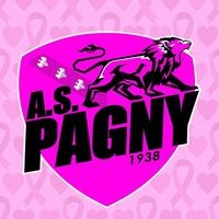 AS PAGNY SUR MOSELLE logo - Similar company to Humani’Foot