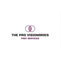 The Pro Visionaries logo - Similar company to Zentrix | Creative Studio
