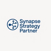 Synapse Strategy Partners logo - Similar company to National Kaushalam Centre For Development