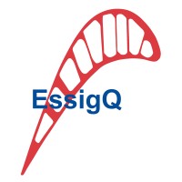 EssigQ logo - Similar company to Essig Plm