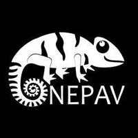 Núcleo Experimental de Produção Audiovisual (NEPAV) logo - Similar company to Pitaco Studio