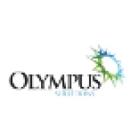 Olympus Solutions logo - Similar company to Ability Options