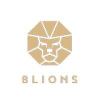 8 Lions Agency LTD logo - Similar company to Web Studio Marita
