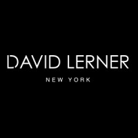 David Lerner NY logo - Similar company to Sidana