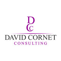 David Cornet Consulting logo - Similar company to Batchero