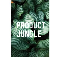 Product Jungle logo - Similar company to Audacity Of We
