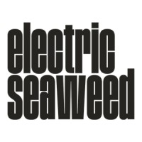 Electric Seaweed LLC logo - Similar company to Smart Workforce Center