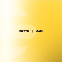 Bizzy B Enterprise - MARi logo - Similar company to 6Reen