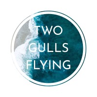 Two Gulls Flying