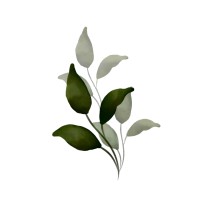 Playgreen logo - Similar company to Gac Solution