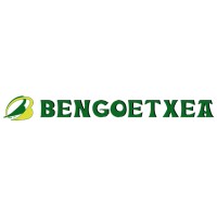 Bengoetxea Autobusak logo - Similar company to Volcano