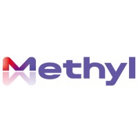 Methyl Group logo - Similar company to Noorall Technologies