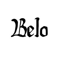 BELO MEDIA GROUP logo - Similar company to Pinthub