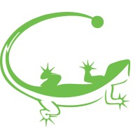 Lizard Monitoring logo - Similar company to Beamx