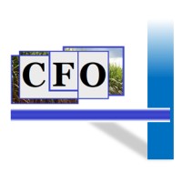 CFO Consultoria logo - Similar company to Cfo Consult