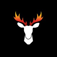 FLAMMES DU MONDE RENNES logo - Similar company to Rainbow Ant Studio