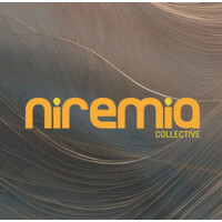 NIREMIA Collective logo - Similar company to Iselect Fund