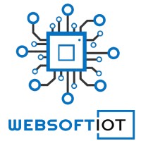 Websoft IOT logo - Similar company to Payroll Ease