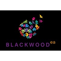 Blackwood Executive Assistance (Blackwood EA) logo - Similar company to Executive Lighthouse