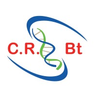 National Biotechnology Research Center - CRBt logo - Similar company to Université Badji Mokhtar De Annaba