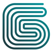GEOptimize logo - Similar company to Solt Advisory