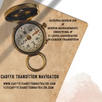 Career Transition Navigator logo - Similar company to Brass Tack Thinking