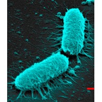 Open Innovation Hub for Antimicrobial Surfaces logo - Similar company to Industrial Microbiological Services Ltd
